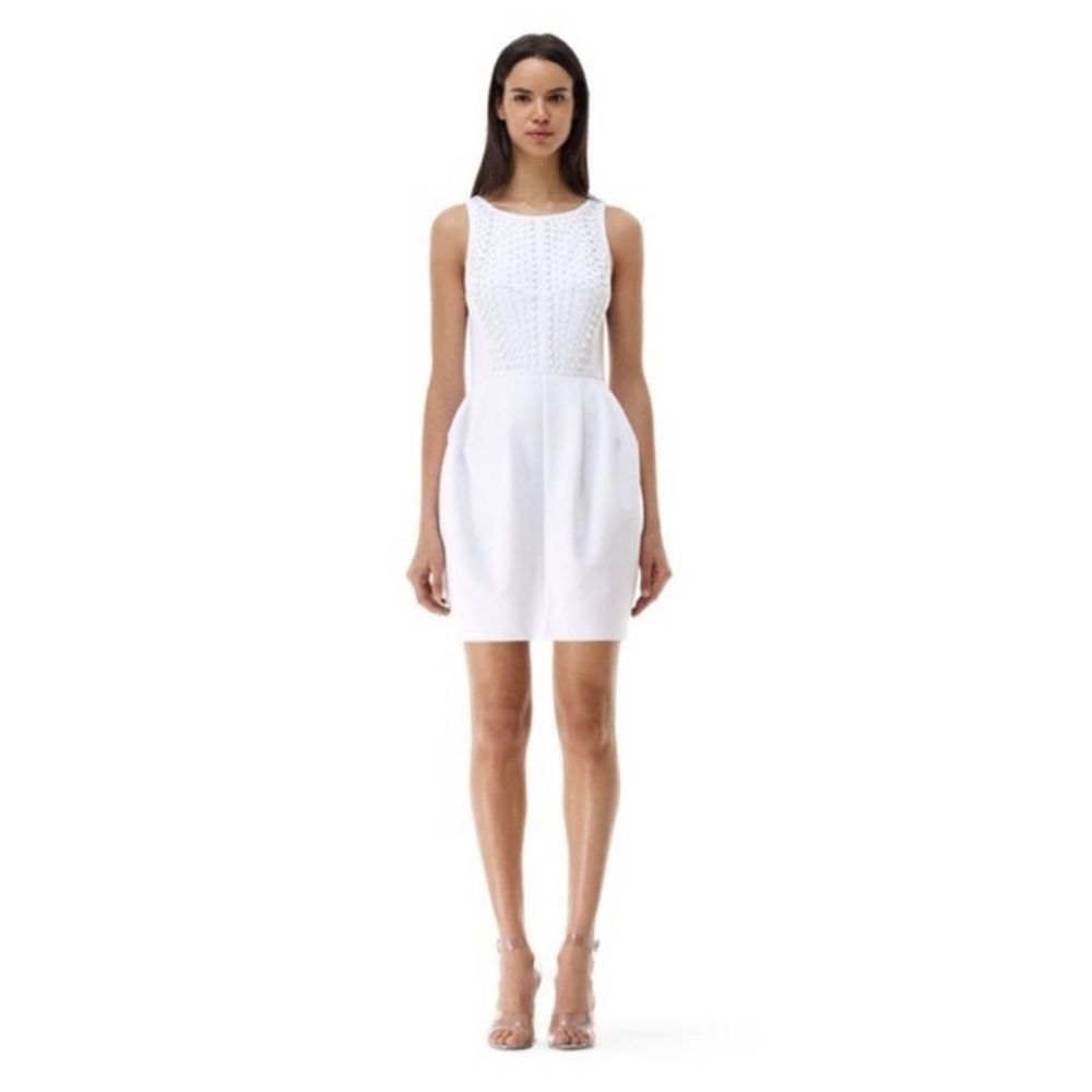 Club Monaco Lyndsey Dress